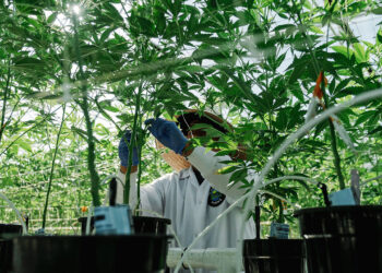 Sin taxes are suffering from a shortage of sinners