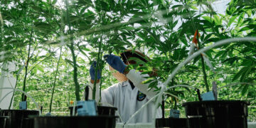 Sin taxes are suffering from a shortage of sinners