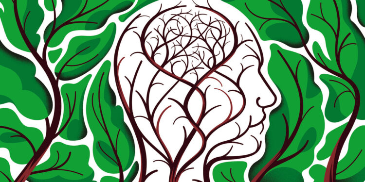 Researchers are questioning if ADHD should be seen as a disorder