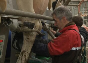 Most farmers unaffected by budget tax changes, IFS says, despite fears children could be robbed of legacy | Politics News