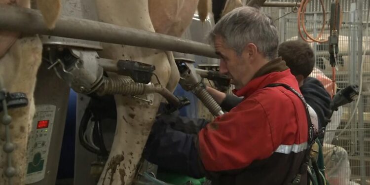Most farmers unaffected by budget tax changes, IFS says, despite fears children could be robbed of legacy | Politics News