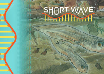 Scientists have found the fossil of the earliest known tadpole : Short Wave : NPR