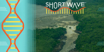 Saving endangered languages in the Amazon : Short Wave : NPR