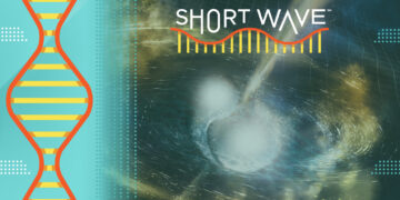 LIGO detected gravitational waves from neutron stars colliding : Short Wave : NPR