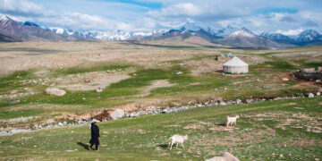 The world’s oldest cheese sheds light on ancient Chinese culture