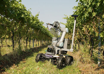 Winemakers are building grape-picking robots