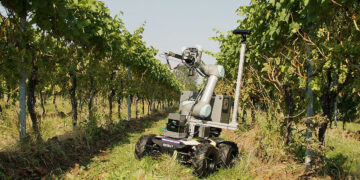 Winemakers are building grape-picking robots