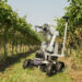 Winemakers are building grape-picking robots