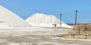 As wellness trends take off, iodine deficiency makes a quiet comeback