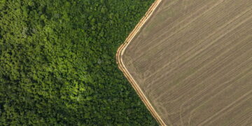 Deforestation is costing Brazilian farmers millions