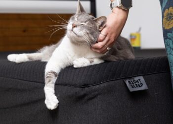 Eight Sleep Pod 4 Ultra review: for sale, good night’s sleep, just $4,700