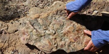 New Grand Canyon Discovery Could Rewrite Geology Textbooks