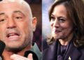 Joe Rogan Says Harris Campaign Had ‘Hilarious’ Off-Limits Interview Subject