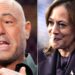 Joe Rogan Says Harris Campaign Had ‘Hilarious’ Off-Limits Interview Subject