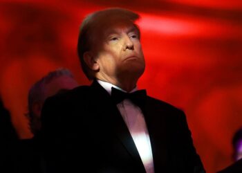 Trans People Prepare For Trump’s Second Term