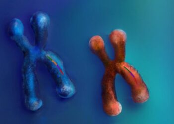 Stanford’s AI Breakthrough Reveals New Genetic Clues to Psychiatric Disorders