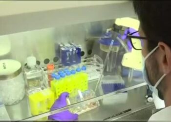 Easing the burden of sickle cell disease in Africa: more campaigners push for improved care