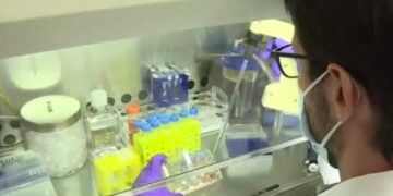 Easing the burden of sickle cell disease in Africa: more campaigners push for improved care