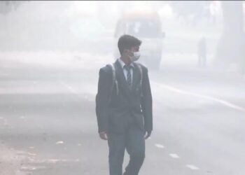 India's north shrouded in smog as Delhi pollution hits season high