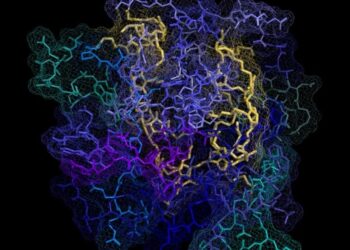 First-Ever Polymer Treatment Reverses Huntington’s Symptoms in Mice – Human Trials Next?