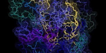 First-Ever Polymer Treatment Reverses Huntington’s Symptoms in Mice – Human Trials Next?