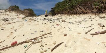 New Satellite Tech Tracks Plastic on Beaches, Helping Clean-Up Efforts Go Remote