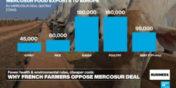 Why French farmers oppose the EU-Mercosur free trade deal