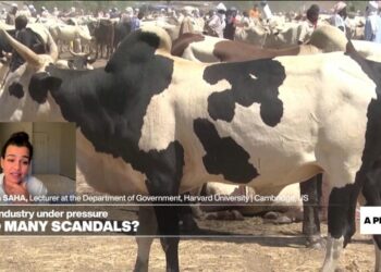 Shift toward more plant-based foods will drastically reduce emissions: expert