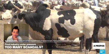 Shift toward more plant-based foods will drastically reduce emissions: expert