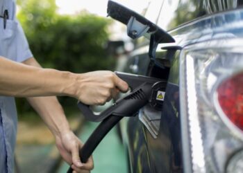 The global green transition will survive Trump