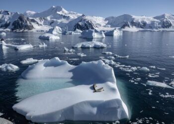 Donald Trump victory threatens to throw G20 initiatives into disarray