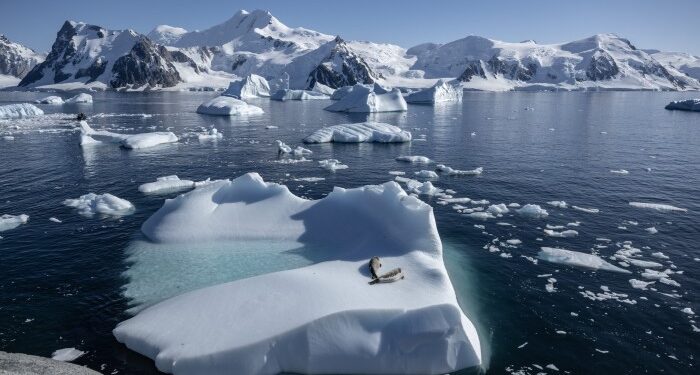 Donald Trump victory threatens to throw G20 initiatives into disarray