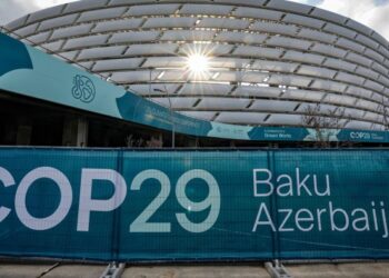 Climate multilateralism clings on, just