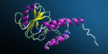 NVIDIA BioNeMo Framework Accelerates AI Drug Discovery