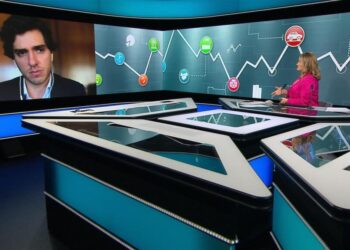 One year of Milei's Argentina: Is 'shock therapy' working?