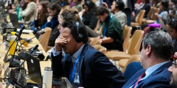 COP29 delegates leave summit with a bad aftertaste | World News