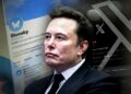 The X exodus – could Bluesky spike spark end of Elon Musk’s social media platform? | Science, Climate & Tech News