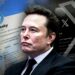 The X exodus – could Bluesky spike spark end of Elon Musk’s social media platform? | Science, Climate & Tech News