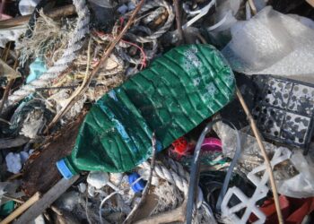 Oil giants blocked a treaty to curb plastic pollution, but countries will try again