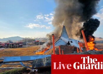 South Korea plane crash: air traffic controllers warned of bird strike minutes before accident, as officials confirm 179 dead | South Korea