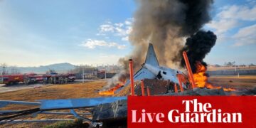 South Korea plane crash: air traffic controllers warned of bird strike minutes before accident, as officials confirm 179 dead | South Korea