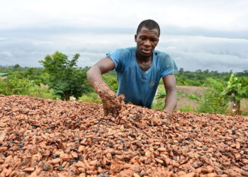 Why the global cocoa market is melting down