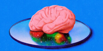 AI scientists are producing new theories of how the brain learns