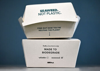 Could seaweed replace plastic packaging?