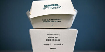 Could seaweed replace plastic packaging?