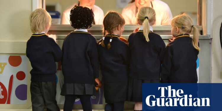 Free school meals ‘auto-enrolment’ scheme has fed 20,000 more children | School meals