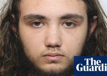 Brianna Ghey’s killer tries to have sentence reduced due to his ‘immaturity’ | UK news