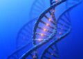 Scientists Discover Genetic Changes Linked to Autism, Schizophrenia