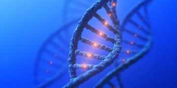 Scientists Discover Genetic Changes Linked to Autism, Schizophrenia