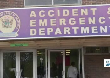 Zimbabwe's sick turn to herbalists over ailing health system